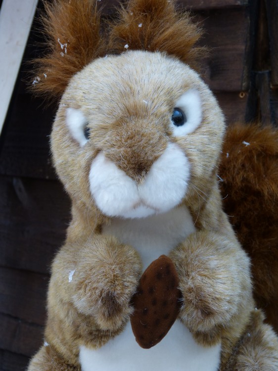 Les Halles du Beffroi