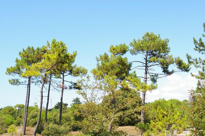 Département de la Vendée