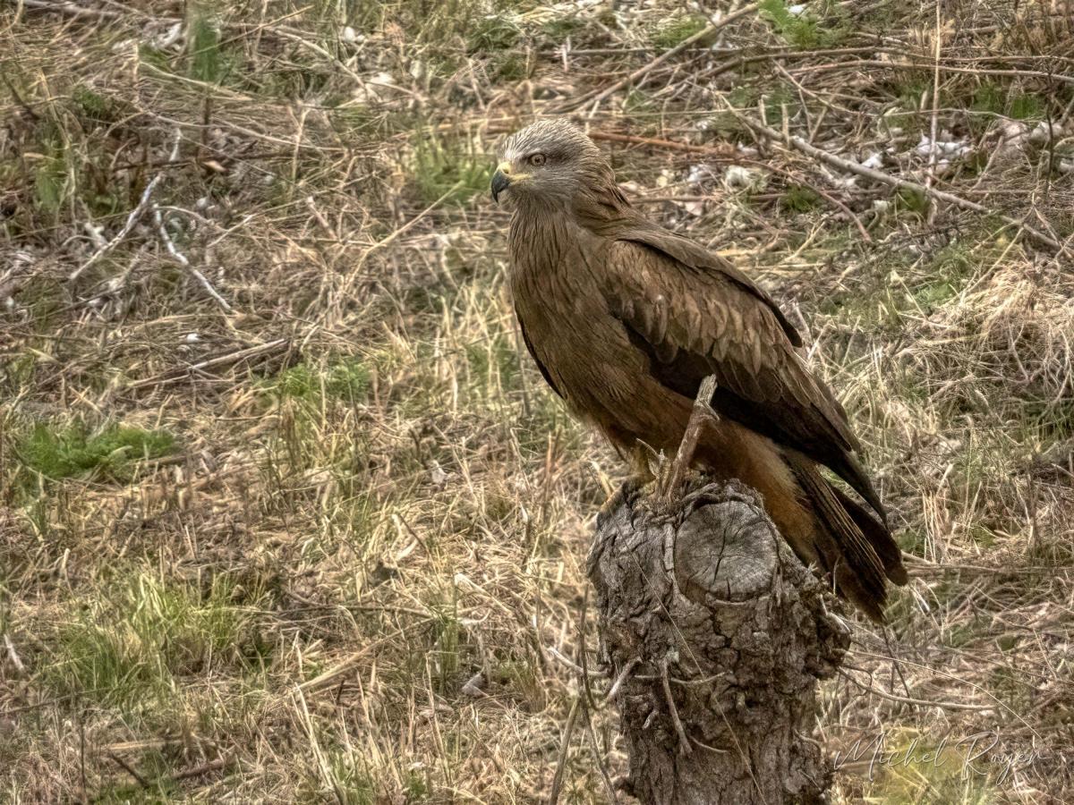 A L'Ecopôle du Val d'Allier dernièrement