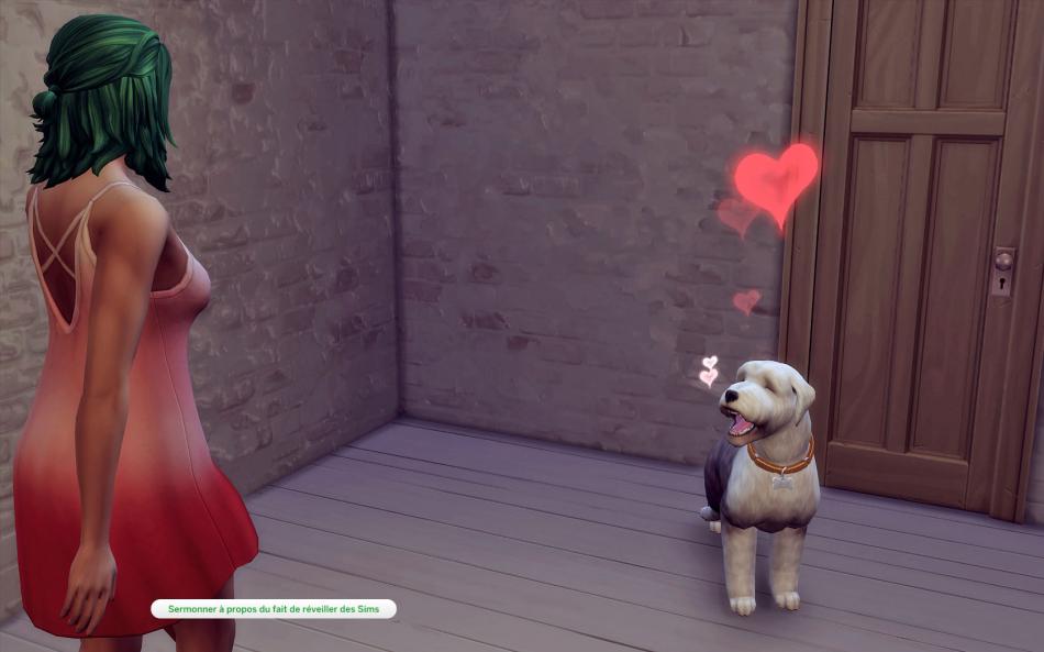 [CALF] Huver 3 - Semaine 15 - Jours 104 à 107