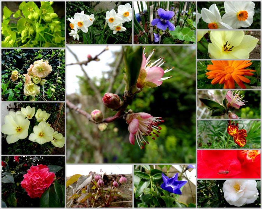 Le printemps au jardin - 2022