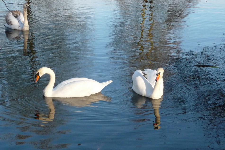 Un temps à photos !