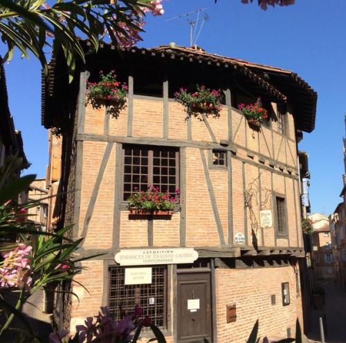 Albi  (Tarn)
