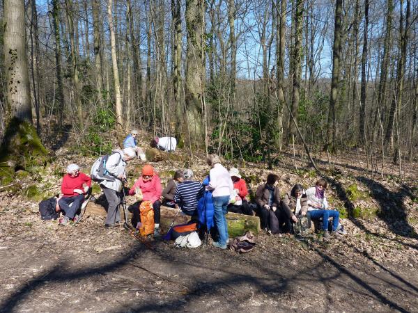 Ville d'Avray, Chaville et la forêt de Fausses Reposes
