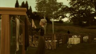 [DC] Printemps 1885 - Martial & Léonie (5/5)