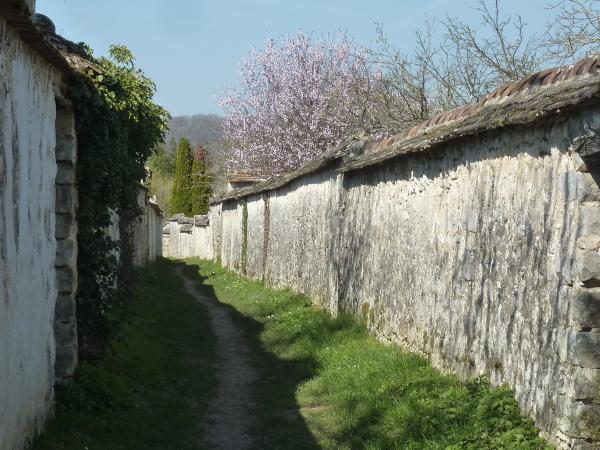 Randonnée et visite de l'atelier de Rosa Bonheur
