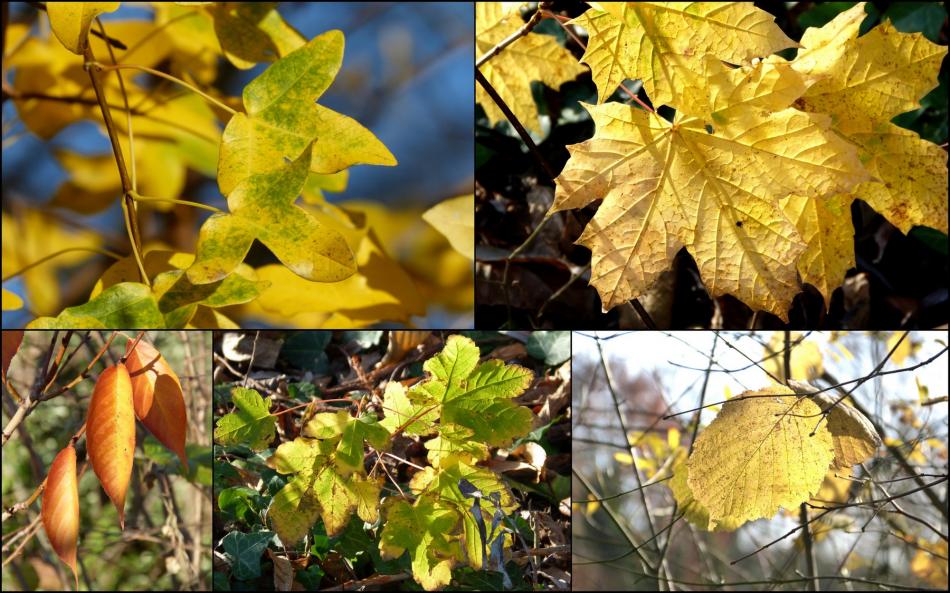 Ma vie et ses surprises !