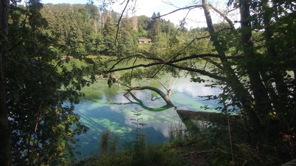 Leverkusen 2019: Diepentalsperre