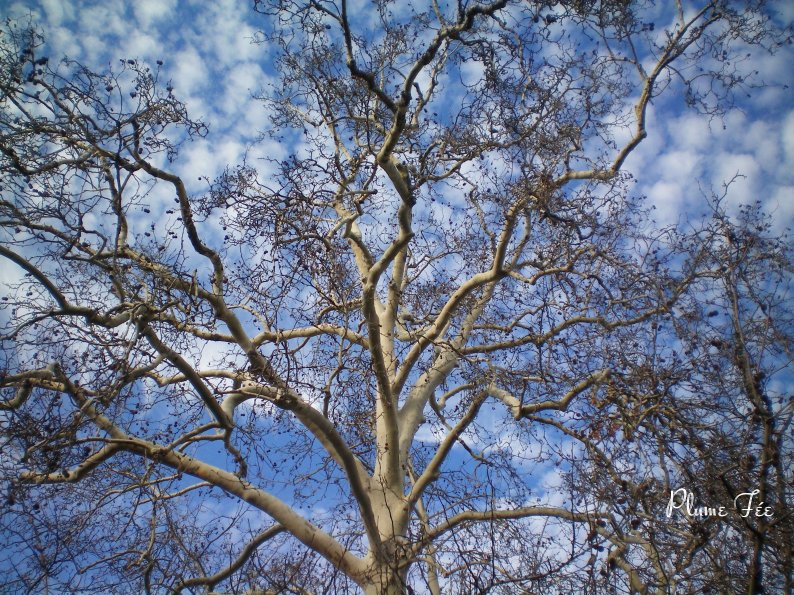 Image002.jpg