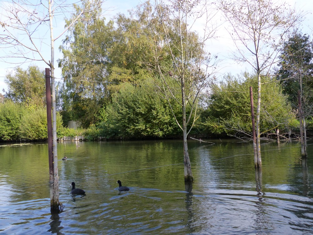 Amiens et ses Hortillonnages (1)