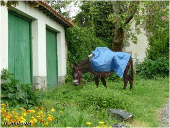 (J47) Uterga / Pampelune 21 mai 2012