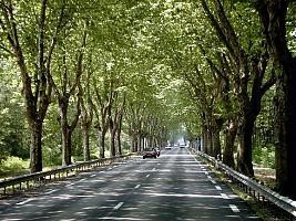 La route maudite !!!
