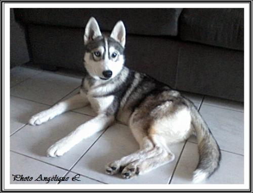 Jeska (4,5 mois)