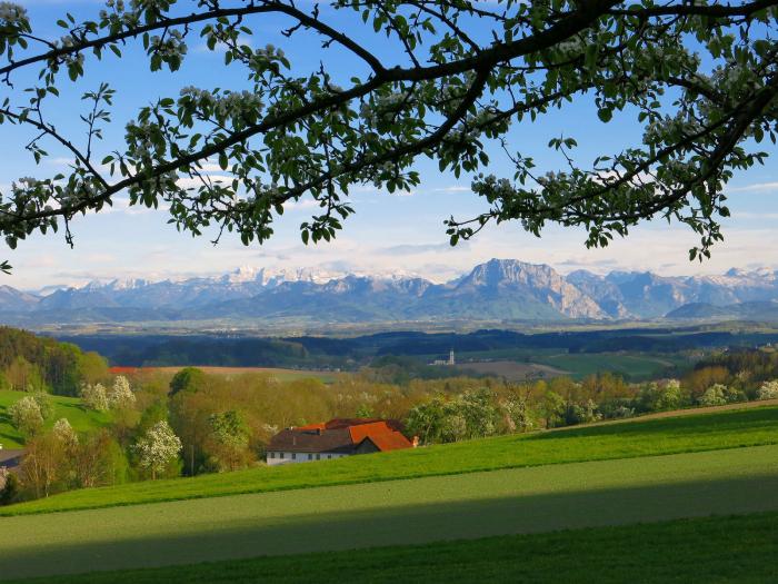 L'Autriche dans l'Europe
