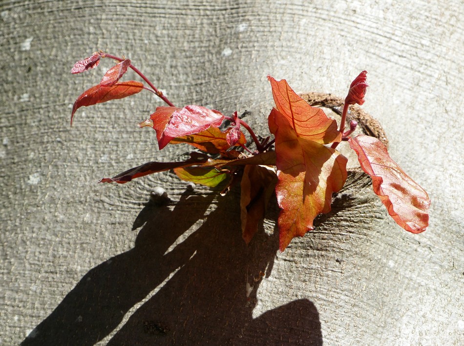 Nous voilà déjà à la mi-août ! 