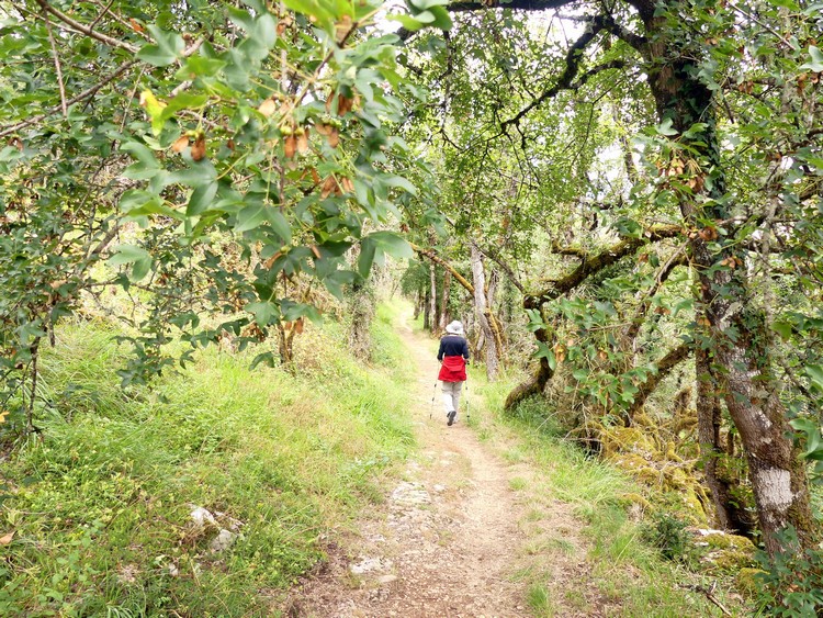 Chemin du retour