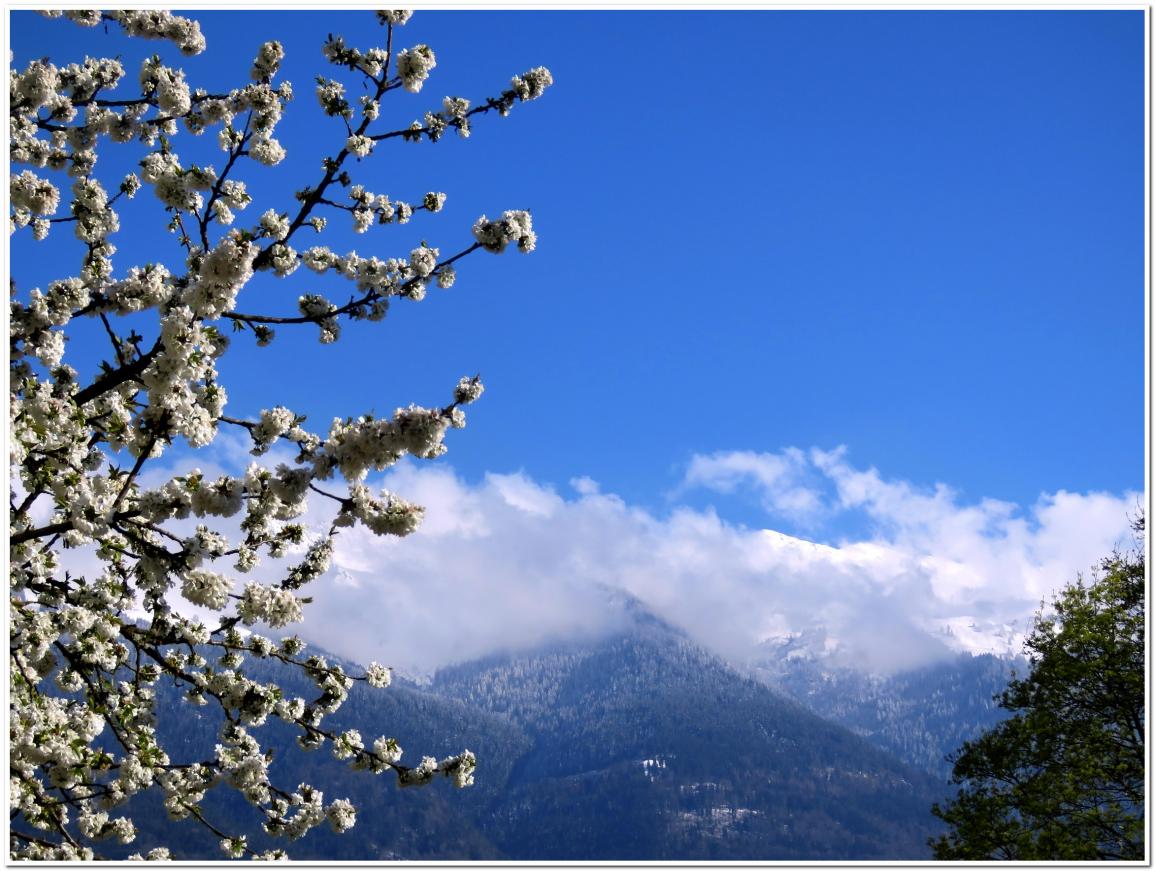  LA DERNIERE NEIGE D'AVRIL 2022