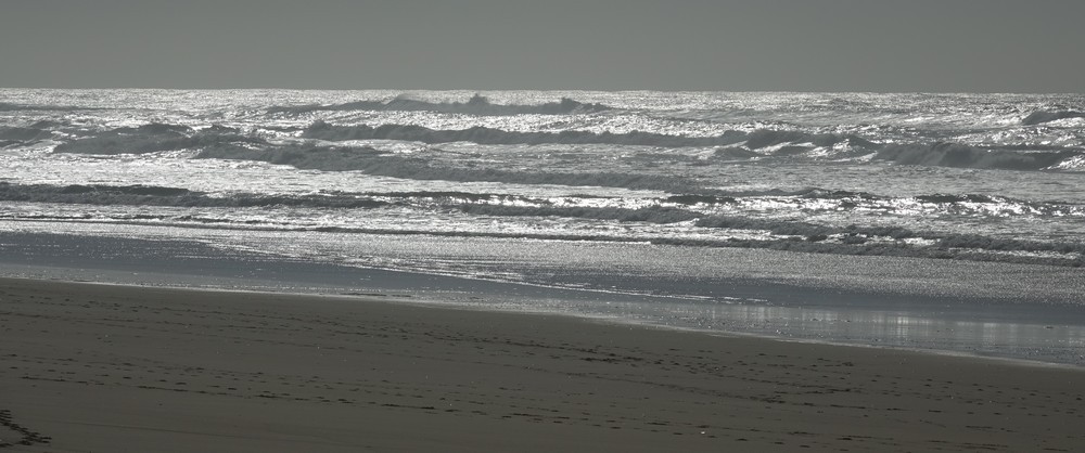 Balade au bord de l'Océan Atlantique - février 2019...
