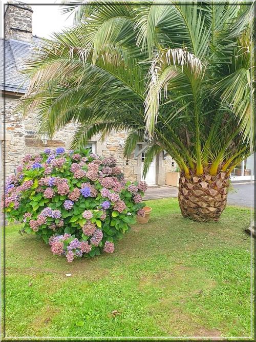 976 - Xtian dans le Finistère (29) !