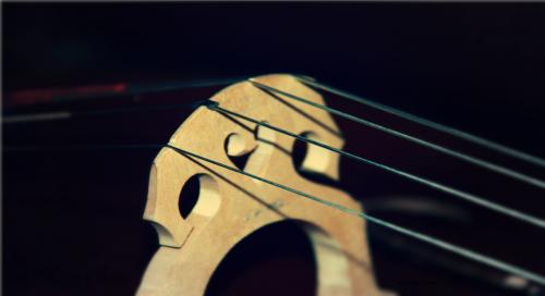 Séance 5 _ With the Cello ♪