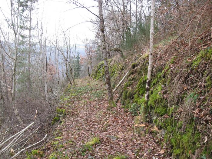 Département du Tarn