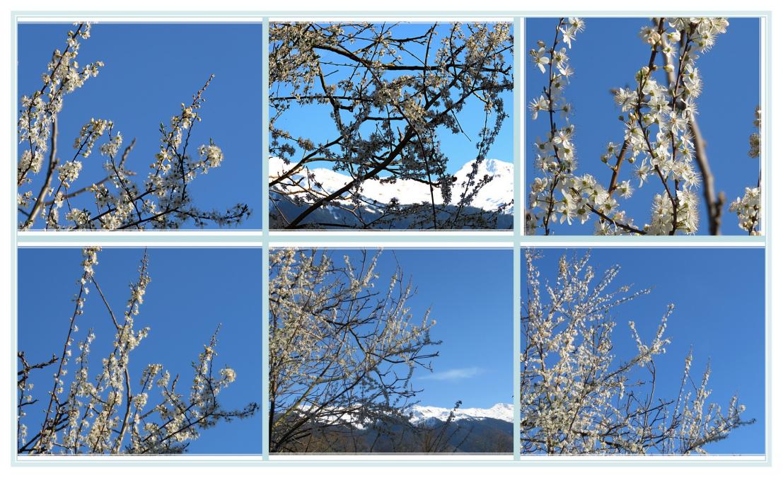 MONTAGES A MA FACON  MARS 2020