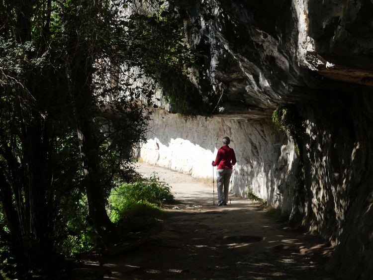 Chemin de halage