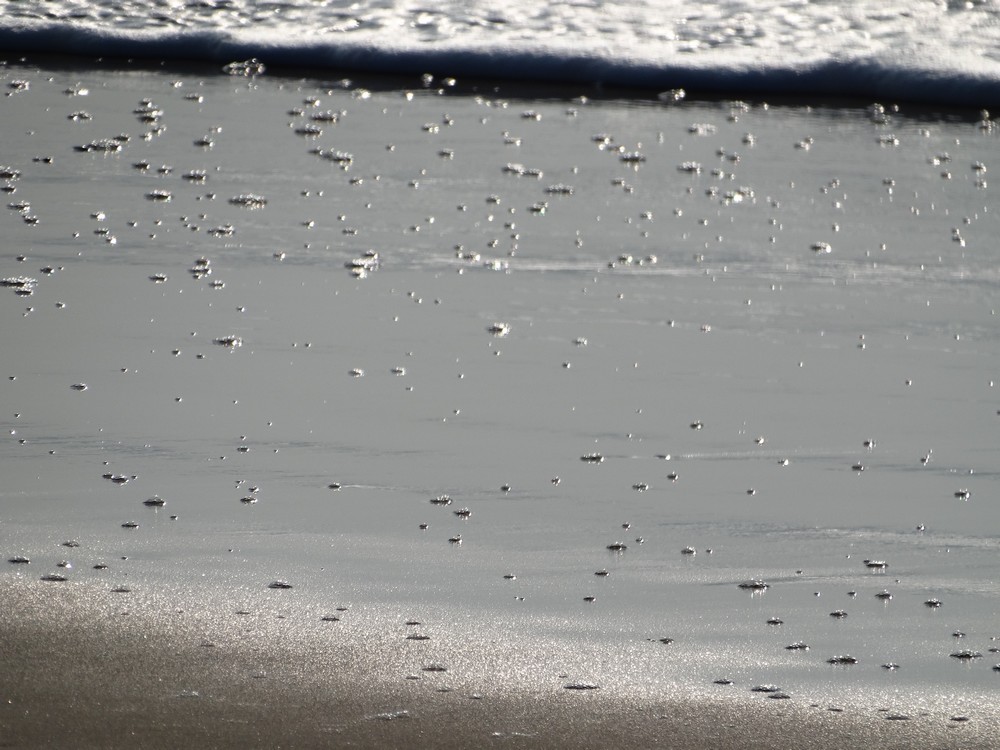 Quand la mer brille de mille feux...