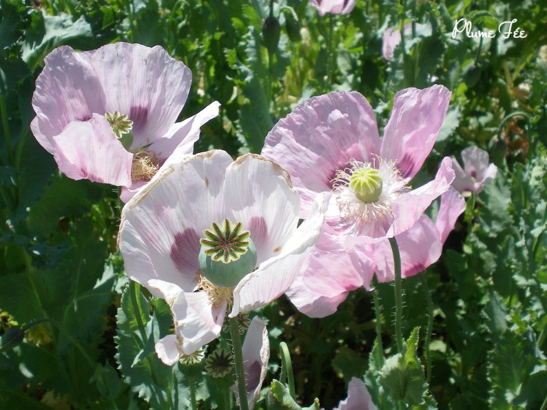 Image003.jpg