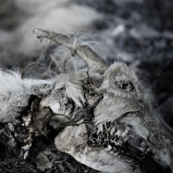 APHONIC THRENODY_When Death Comes