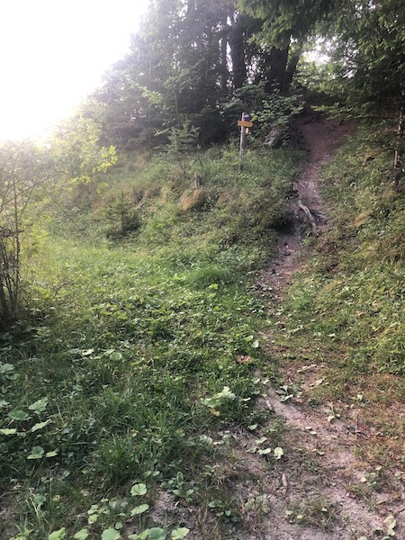 Les Crêtes du Fanget (Seyne - Auzet)