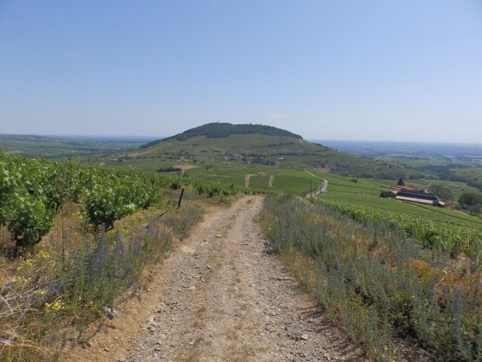 Département du Rhône