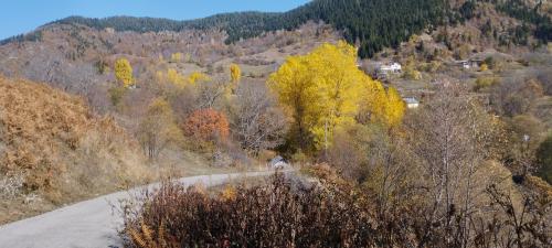 ARTVIN et la montagne 2/2