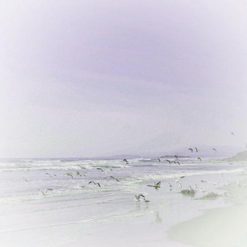 page 7  fonds de mer