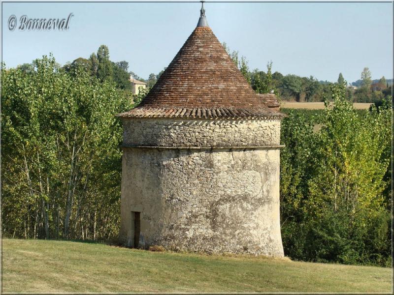 Colombier sur pied Château Lavison Loubens Gironde