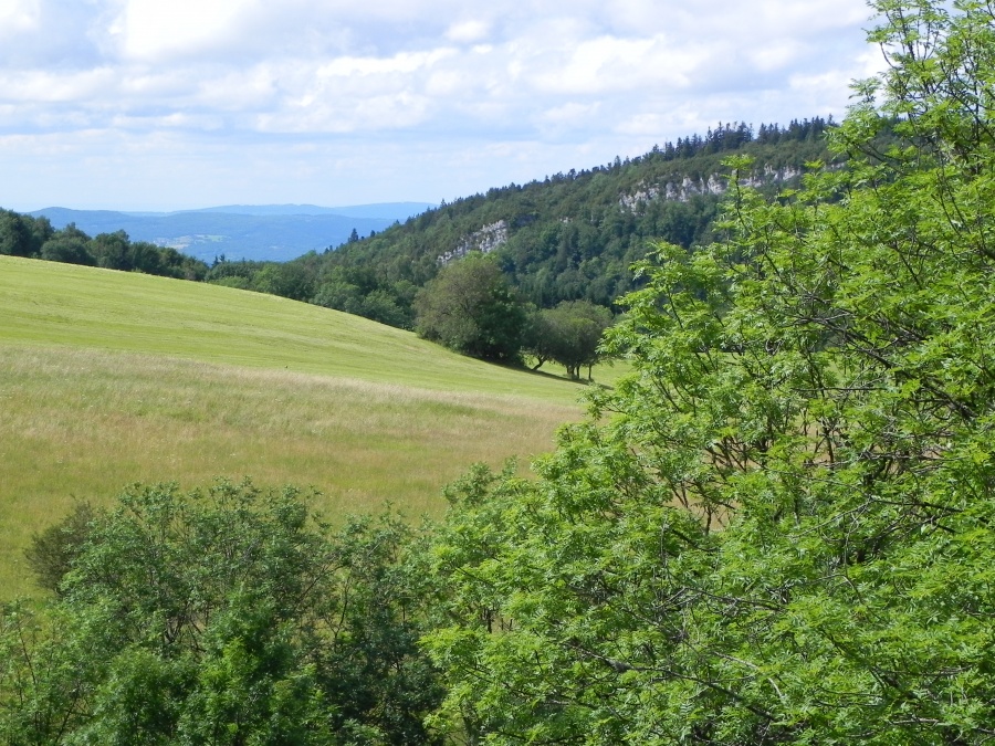 Apremont dans l'Ain dept 01