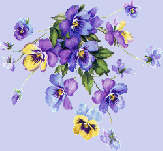 modeste violettes ...
