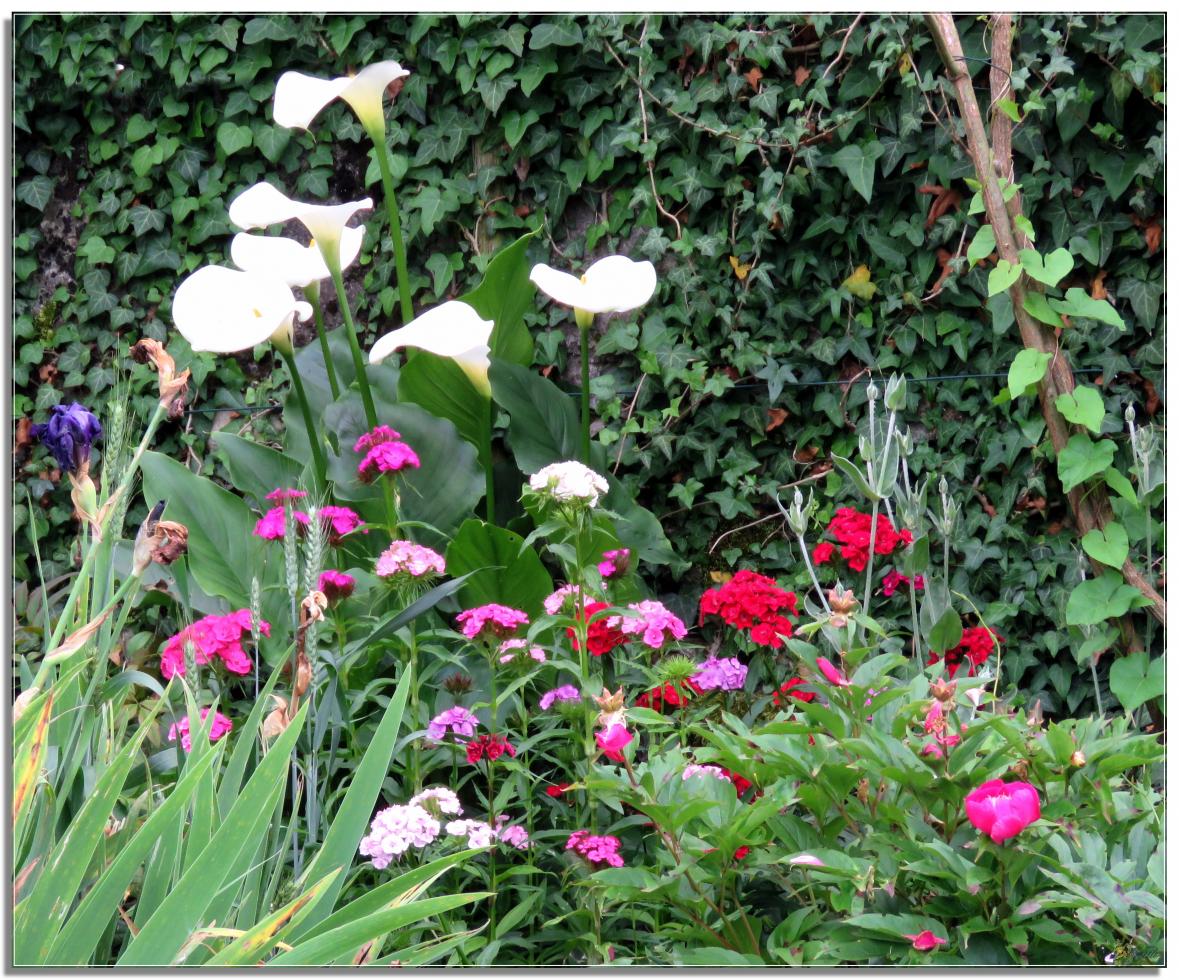 ENTRE  DEUX  AVERSES  AU  JARDIN 