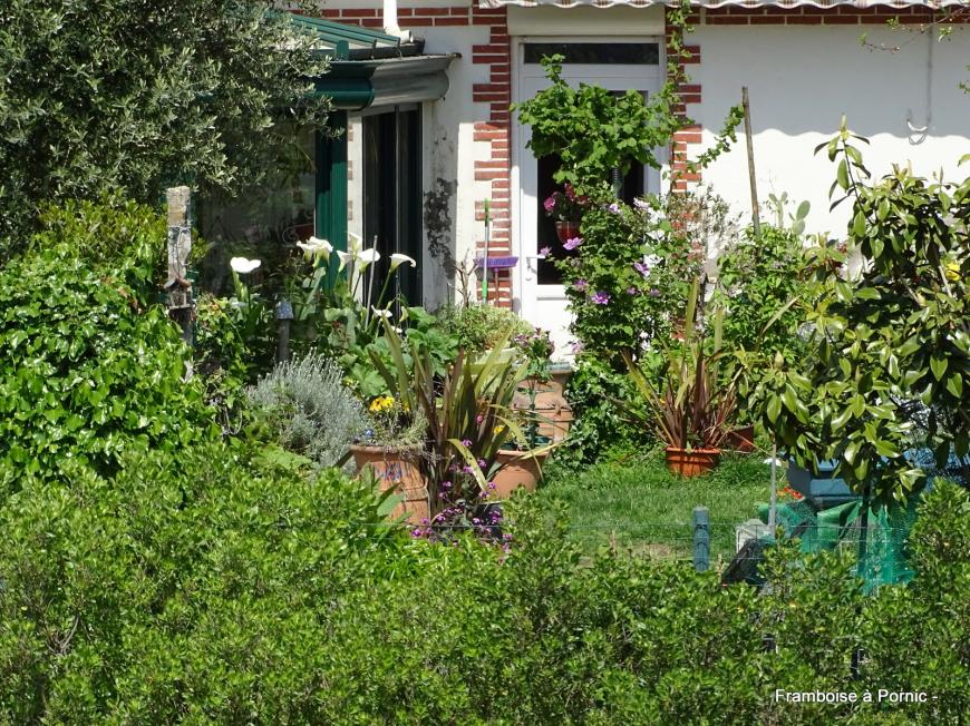Pornic, Jardin botanique de la ria - Mai 2019