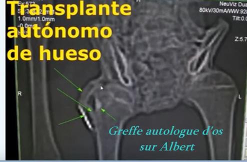 ALIEN PROJECT - Les momies du Pérou/5