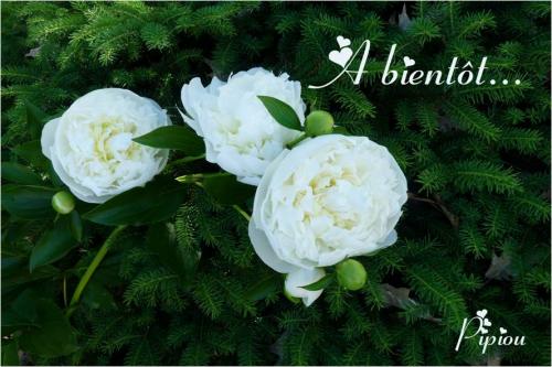 Je mets mon blog en pause...