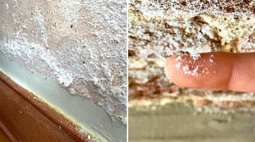 Salpêtre sur les murs (Comment-économiser).jpg