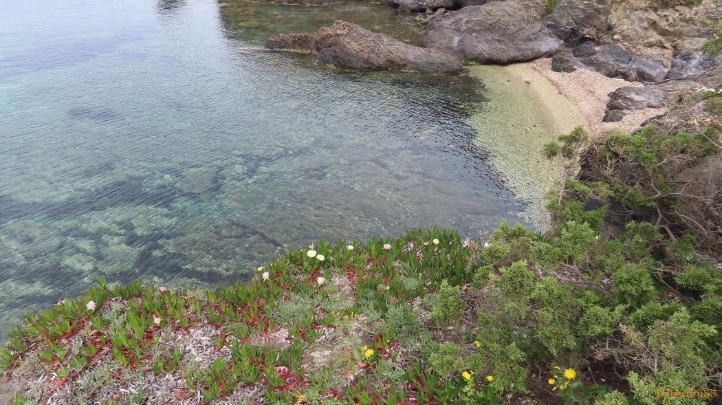 La Madrague - presqu'île de Giens - 14