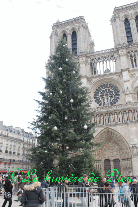 La cathédrale Notre-Dame de Paris