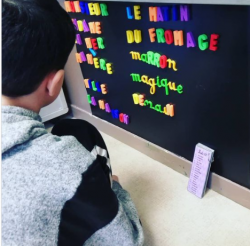 Des activités pour le centre des mots