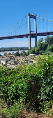 M ARCHE 10/ LUNDI 30 mai - BASSENS la Gardette-CENON