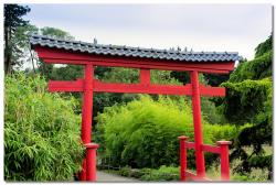 Zen, soyons Zen (II)
