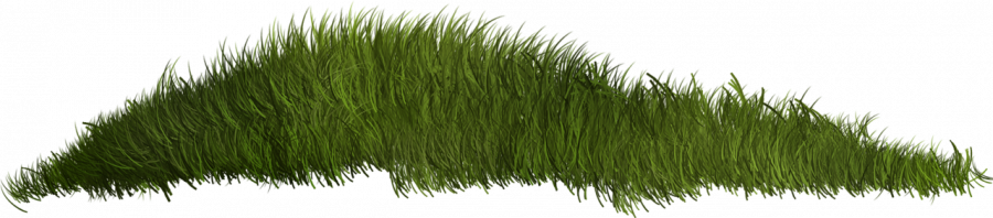 ѼVegetation
