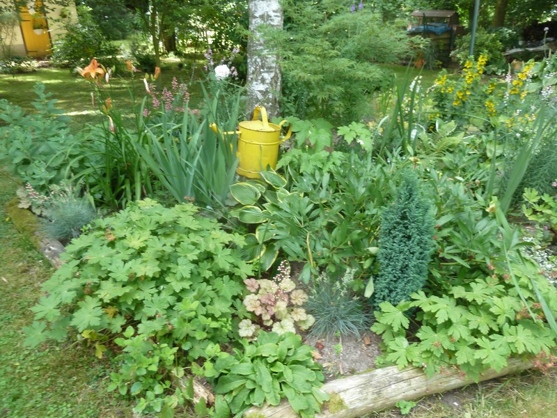 jardin 