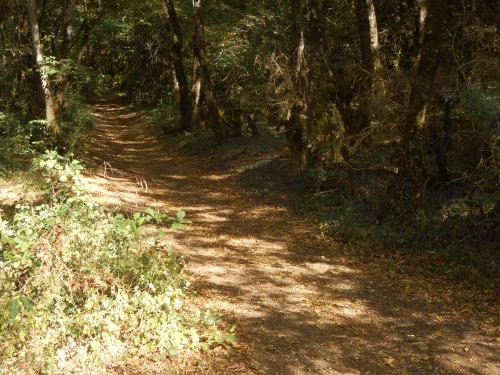 "Les Vaucrains" - Samedi 08 aoùt 2020